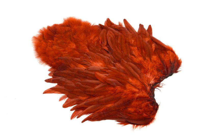 Whiting Rooster SH/C â€“ dealerweb-cms-bc31fb9d-19f4-4ef4-8495-5a9703d23d20.jpg