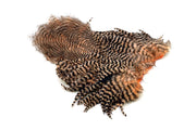 Whiting Rooster Softhackle W Chickabou SH/C Weiß gefärbt Rosa