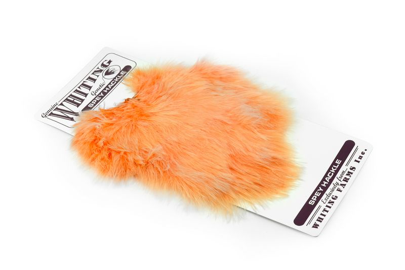 Whiting Spey Hackle Hen Saddle â€“ dealerweb-cms-c8371c2b-57ef-494b-90dc-7246cf781e08.jpg