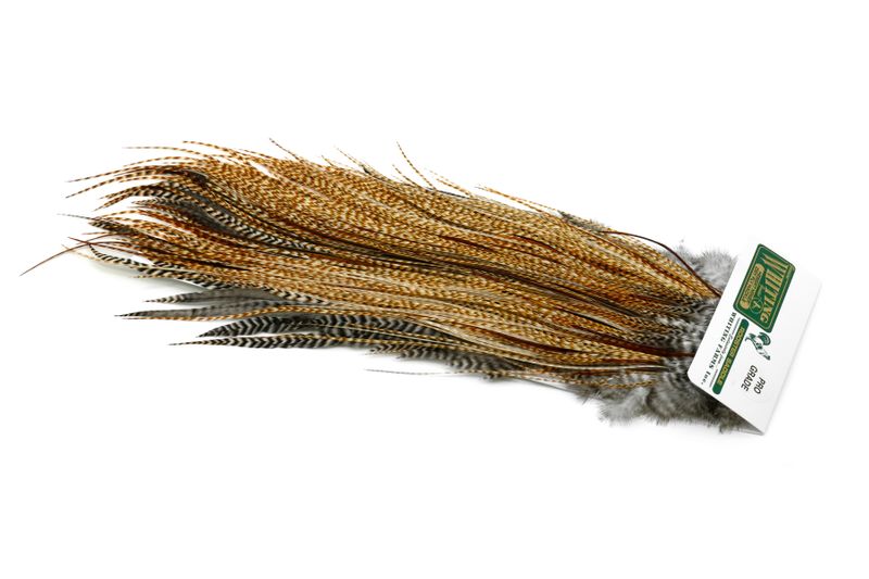 Whiting Hebert Rooster Saddle – Pro Grade â€“ dealerweb-cms-c8d1c57a-480f-49fd-bf63-3bb8e7108d1e.jpg