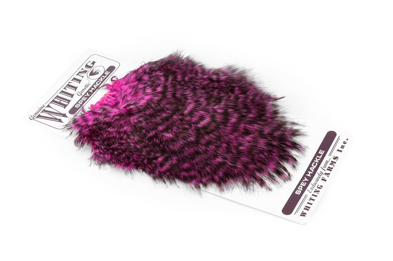 Whiting Spey Hackle Hen Saddle â€“ dealerweb-cms-d03925ca-2daf-496e-9f7b-bad0f655b01a.jpg