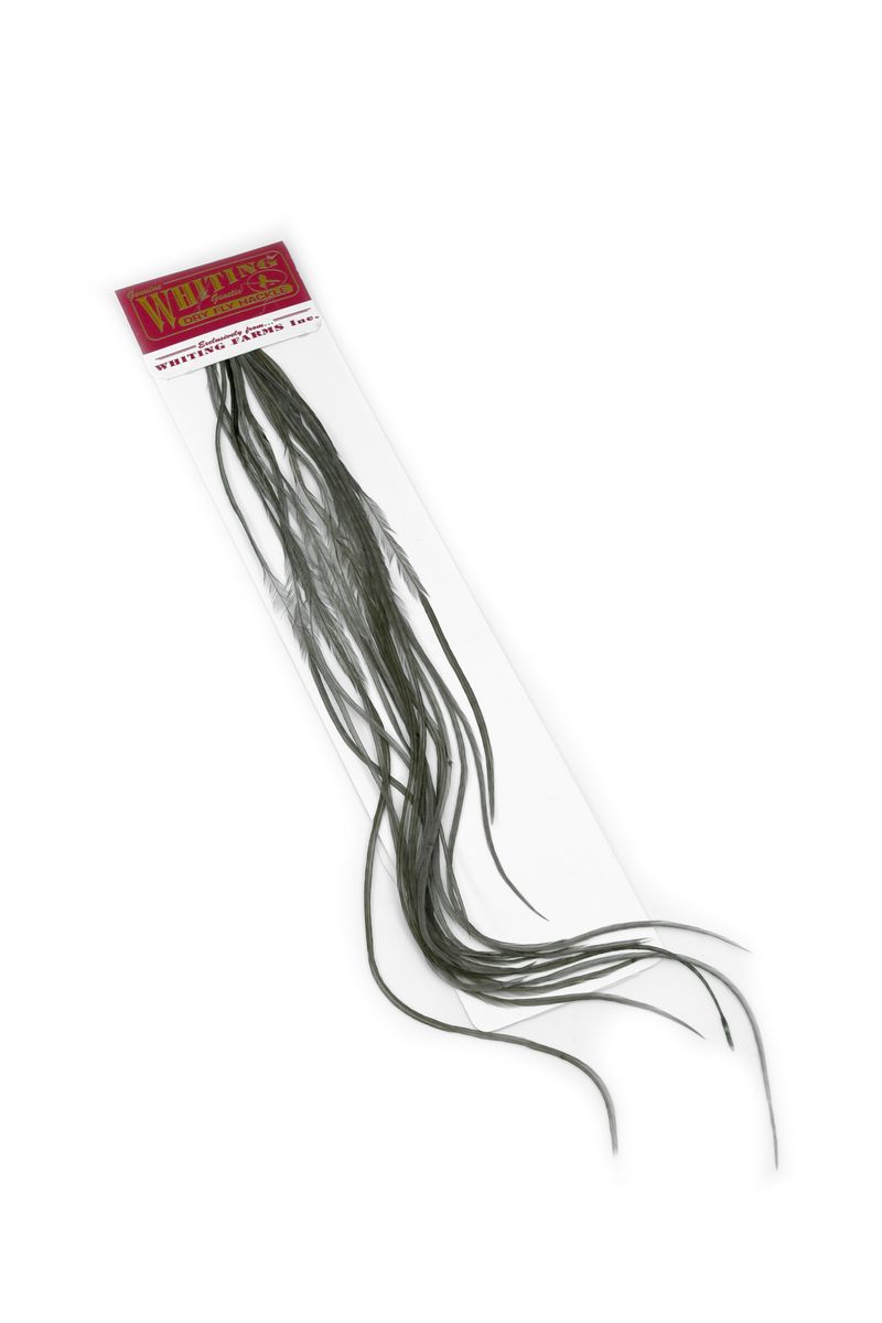 Whiting 100-pk – Size 16 â€“ dealerweb-cms-d04d7a77-fa8f-451b-b1d1-09411e558d4b.jpg