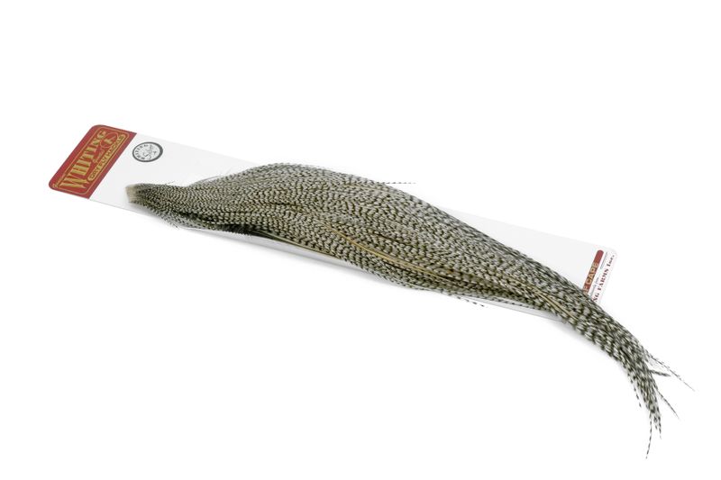 Whiting Silver 1/2 Cape â€“ dealerweb-cms-d392f793-d695-426f-b059-d9baae9de1c3.jpg