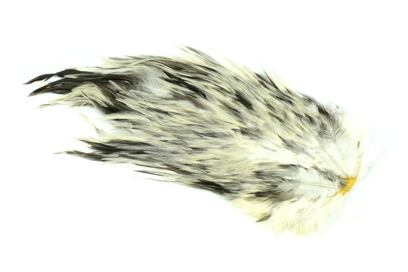 Whiting 4 B's Rooster Saddle â€“ dealerweb-cms-d3aeec40-b98e-43ec-ac94-96361a628ea9.jpg