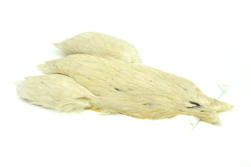 Whiting 4 B's Hen Cape â€“ dealerweb-cms-d4ebcc0d-841a-44e3-9e1c-14265143b3b6.jpg