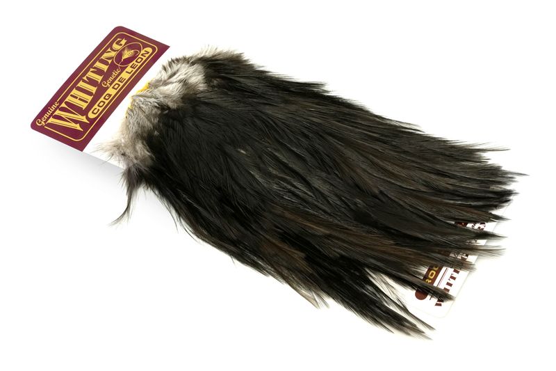 Whiting Coq de Leon Rooster Saddle – Bronze â€“ dealerweb-cms-d7bd5e28-dd46-4abe-9b9b-48affa780de9.jpg