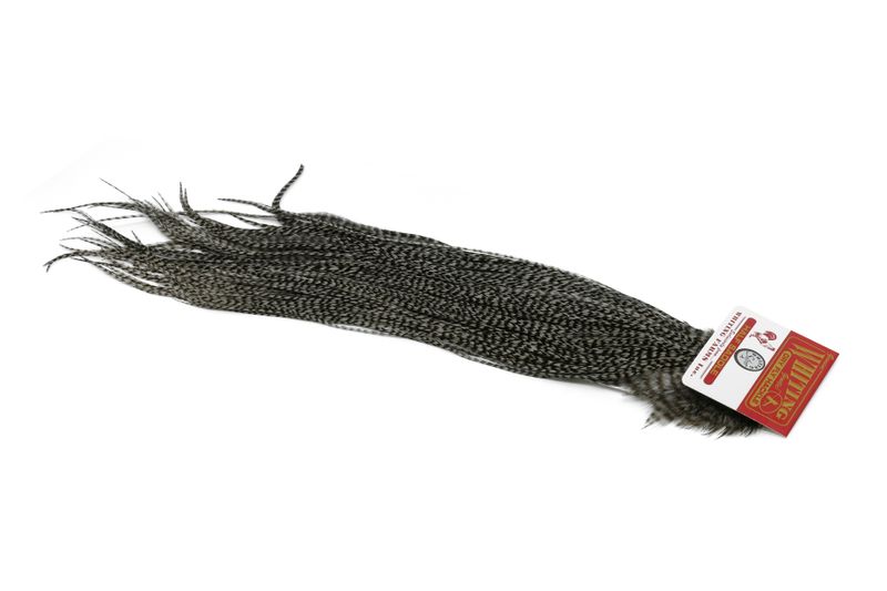 Whiting Silver 1/2 Saddle â€“ dealerweb-cms-e11a8096-ca9c-4027-97b9-e371f47fd9ed.jpg