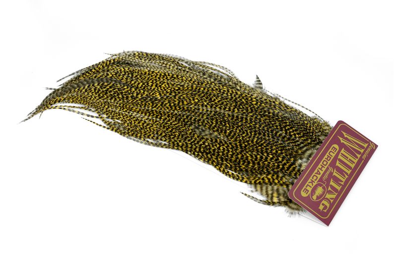 Whiting Eurohackle Saddle â€“ dealerweb-cms-e2379d0a-759f-450c-b1bb-06d7bc4eb0a7.jpg