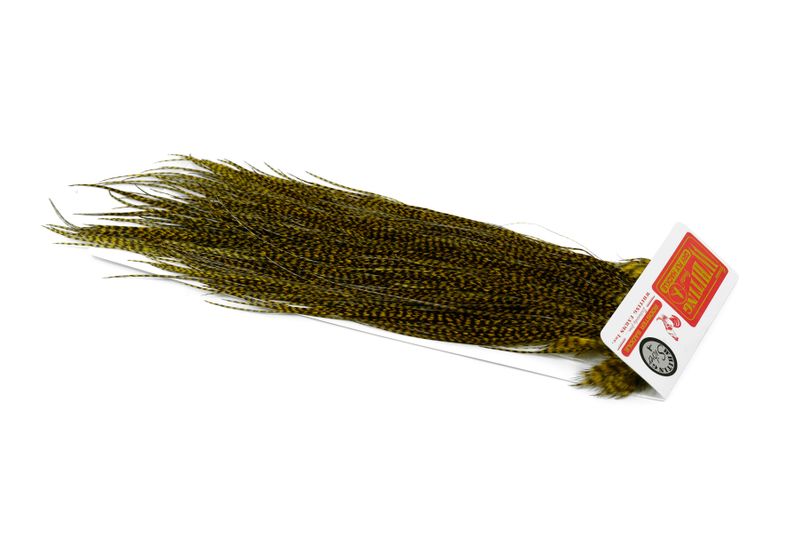 Whiting Silver Midge Saddle â€“ dealerweb-cms-e2637302-42e3-488d-a22f-182ac5b14e08.jpg