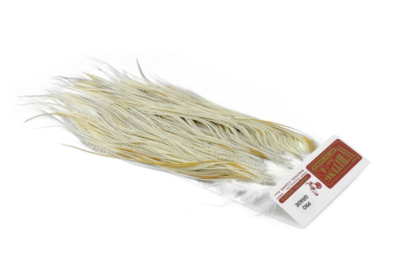 Whiting Rooster Saddle – Pro Grade â€“ dealerweb-cms-e7157386-00f4-4e51-a568-8fb9db1ade55.jpg