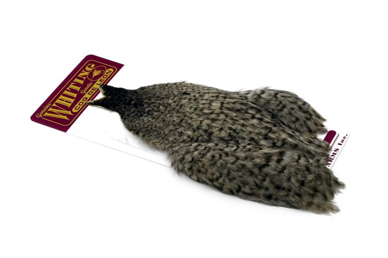 Whiting Coq de Leon Hen Cape â€“ dealerweb-cms-e82dc3e0-7a6d-4bbf-9393-82a3bf3daf1c.jpg