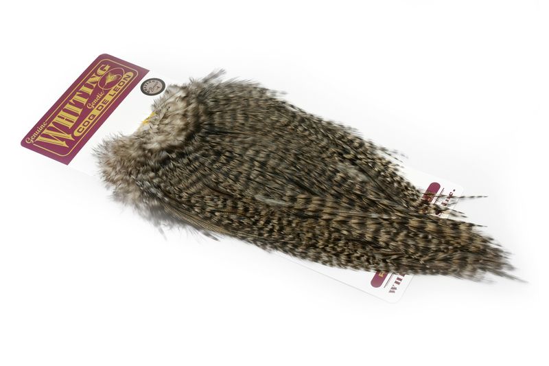 Whiting Coq de Leon Rooster Saddle – Bronze â€“ dealerweb-cms-eb97d348-172b-42e5-84c5-7860982a301f.jpg