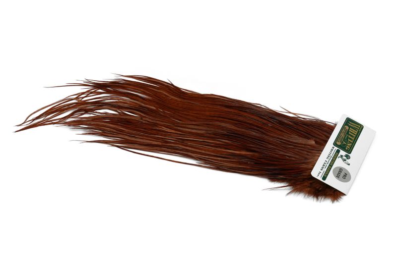 Whiting Hebert Rooster Saddle – Pro Grade â€“ dealerweb-cms-f59bcad8-fb7f-49de-b9c8-bb1f06a5ebe7.jpg