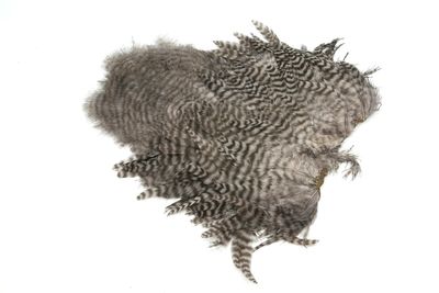 Du tilføjede <b><u>Whiting Rooster Softhackle W Chickabou SH/C Grizzly dyed With Down</u></b> til kurven.