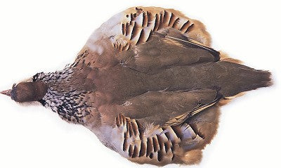 Du tilføjede <b><u>Französisches Rebhuhn Natur - Komplett</u></b> til kurven.