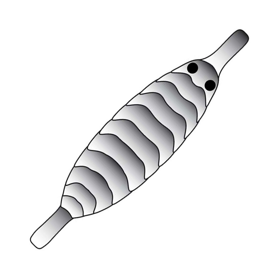 Pro Gammarus skjold - Black