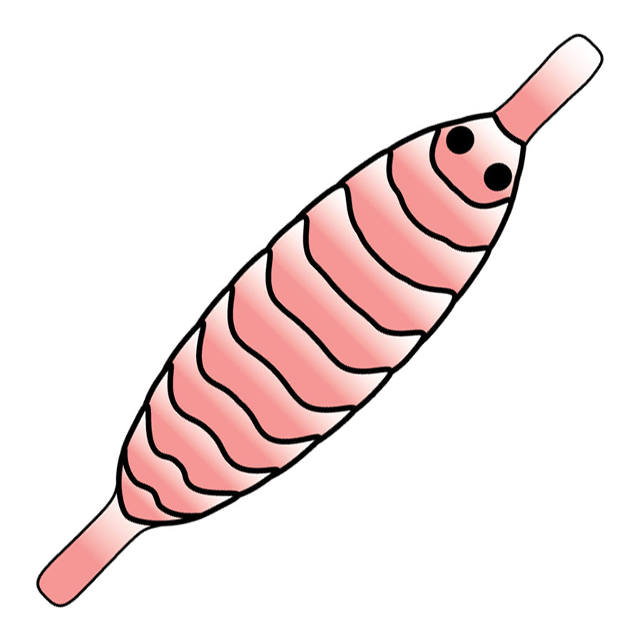 Pro Gammarus skjold - Shell Pink
