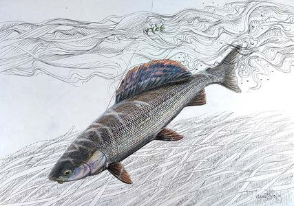 Du tilføjede <b><u>Thomas Weiergang Original A3 - Greyling </u></b> til kurven.