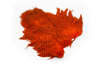 Du tilføjede <b><u>Whiting Rooster Softhackle W Chickabou SH/C - Grizzly gefärbtes Orange</u></b> til kurven.