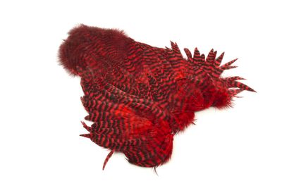 Du tilføjede <b><u>Whiting Rooster Softhackle W Chickabou SH/C Grizzly dyed Red</u></b> til kurven.