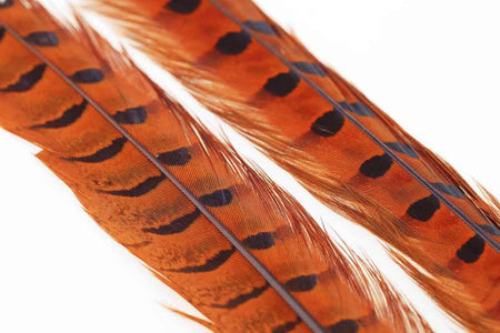 Du tilføjede <b><u>Ringhals-Fasanenschwanz, 1 Paar – Orange</u></b> til kurven.