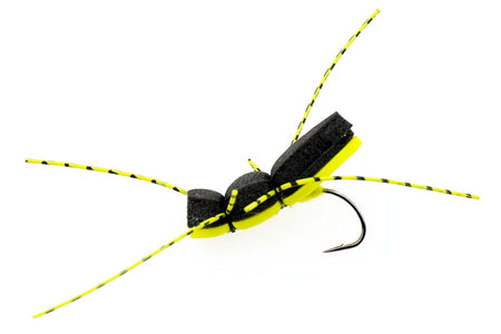 Du tilføjede <b><u>Schaumkäfer mit Auge - Gelb</u></b> til kurven.