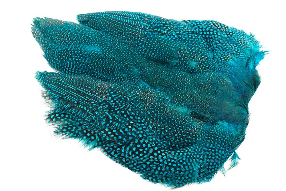 Perlehøne Hel fugl - Kingfisher Blue