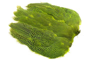 Perlehøne Hel fugl - Chartreuse