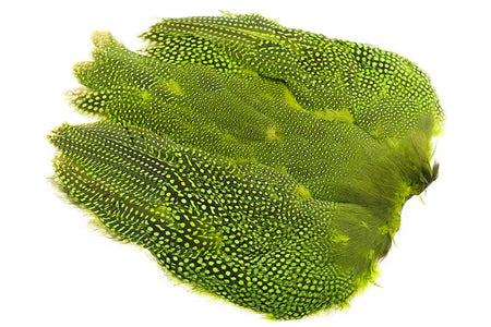 Du tilføjede <b><u>Perlhuhn, ganzer Vogel - Chartreuse</u></b> til kurven.