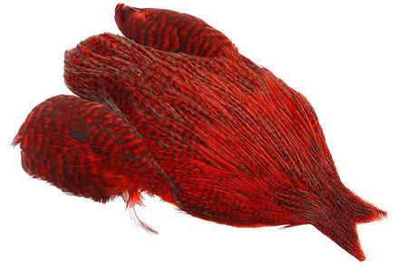 Du tilføjede <b><u>4B Whiting Rooster Cape - Grizzlyrot</u></b> til kurven.