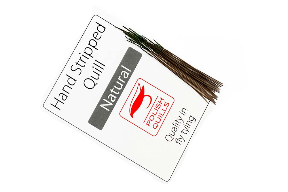 Hand Stripped Peacock Quill - Natural