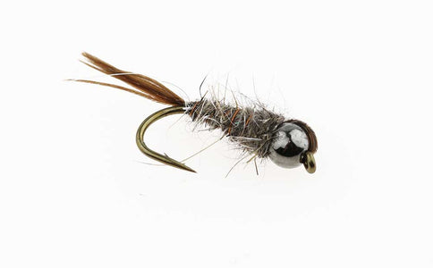 Du tilføjede <b><u>Hasenohr-Goldkopf - Schwarz</u></b> til kurven.