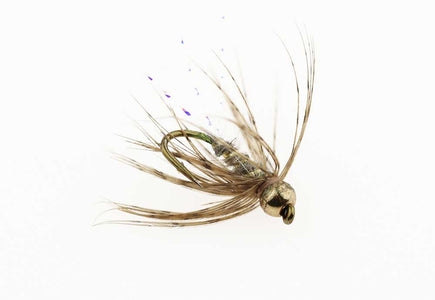 Du tilføjede <b><u>Greyling Spezial - 12</u></b> til kurven.