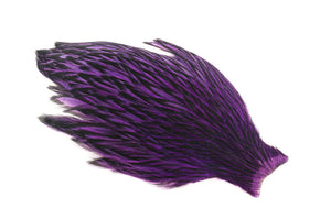 Whiting American Hen Cape Schwarz besäumt - Lila