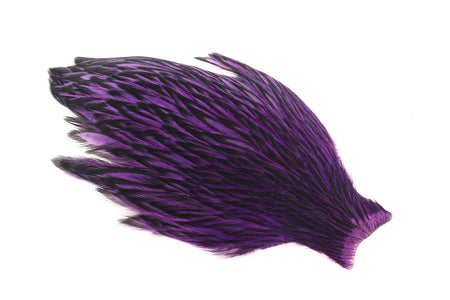Du tilføjede <b><u>Whiting American Hen Cape Schwarz besäumt - Lila</u></b> til kurven.