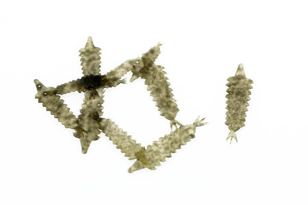 Du tilføjede <b><u>Kiley's Damsel Tailz - Schwarz</u></b> til kurven.