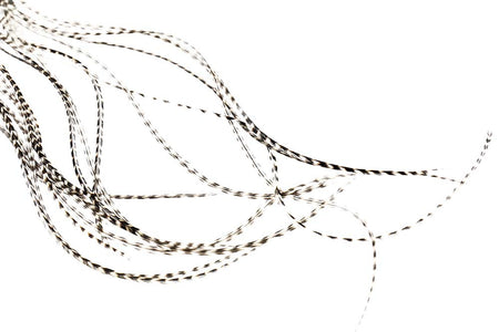Du tilføjede <b><u>Whiting 100er-Packung - Grizzly</u></b> til kurven.