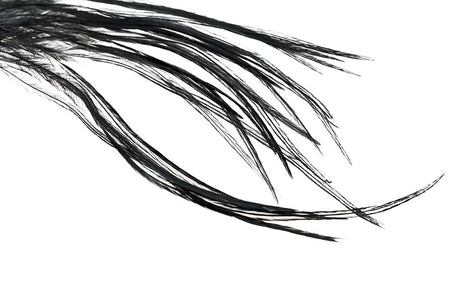 Du tilføjede <b><u>Whiting 100er-Packung – Schwarz</u></b> til kurven.