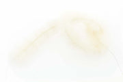 Streamer Head Big Fly Brush - White