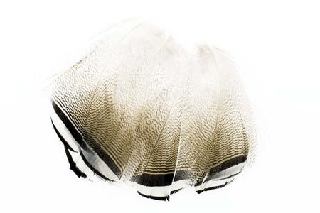 Du tilføjede <b><u>Brautente – Schwarzweiße Flanke</u></b> til kurven.