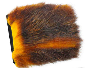 Amerikanisches Opossum (Herbst)