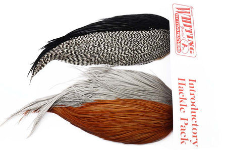 Du tilføjede <b><u>Whiting Einsteiger-Hechelpaket Vier 1/2 Capes</u></b> til kurven.