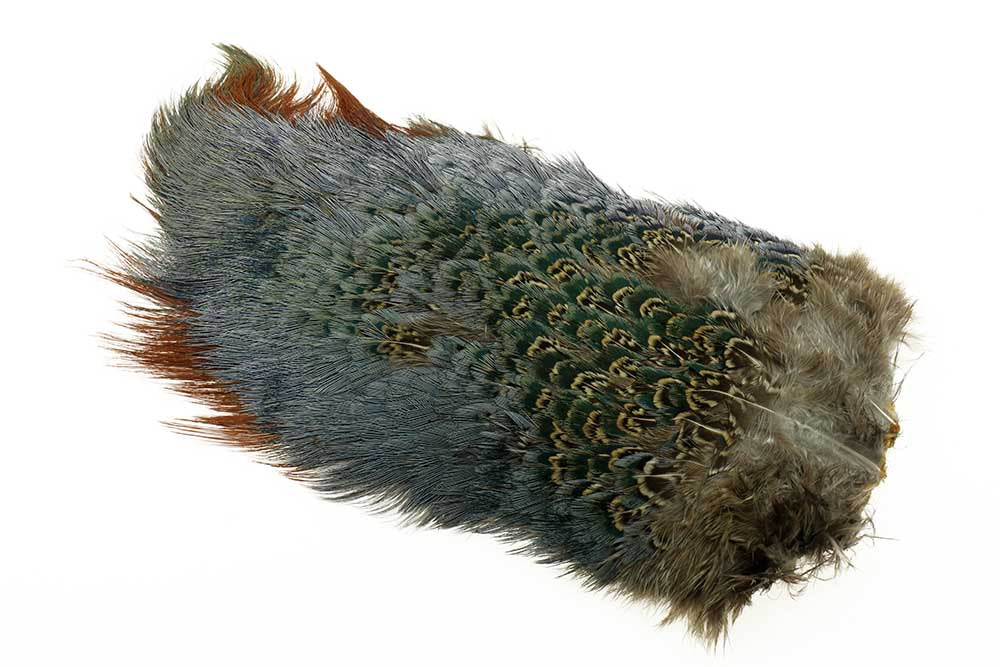 Ringneck Rump Patch - Natural