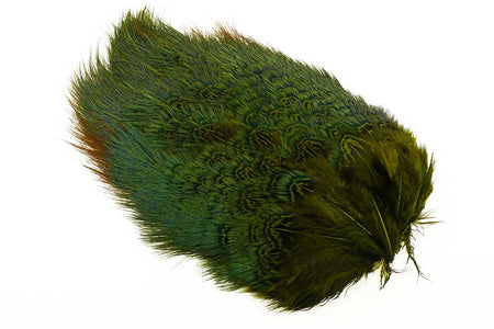 Du tilføjede <b><u>Halsband-Brustfleck - Oliv</u></b> til kurven.