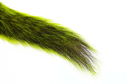 Silver Tip Squirrel Tail  - Fluo Chartreuse
