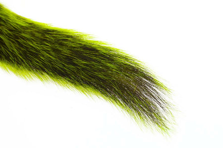 Du tilføjede <b><u>Silberspitzen-Eichhörnchenschwanz – Fluo Chartreuse</u></b> til kurven.
