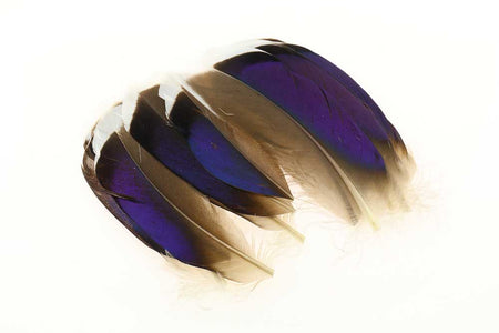 Du tilføjede <b><u>Stockente Blau Weiß Spitze Paare</u></b> til kurven.