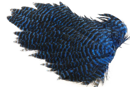 Du tilføjede <b><u>Ewing #1 Hen Saddle Grizzly Kingfisher</u></b> til kurven.