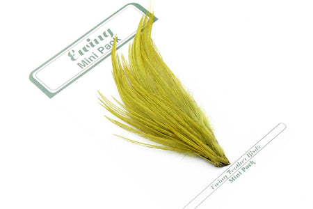 Du tilføjede <b><u>Ewing 14er & 16er Trockenfliegen-Minipack Olive</u></b> til kurven.