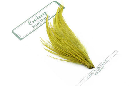 Du tilføjede <b><u>Ewing 12er & 14er Trockenfliegen-Minipack Olive</u></b> til kurven.